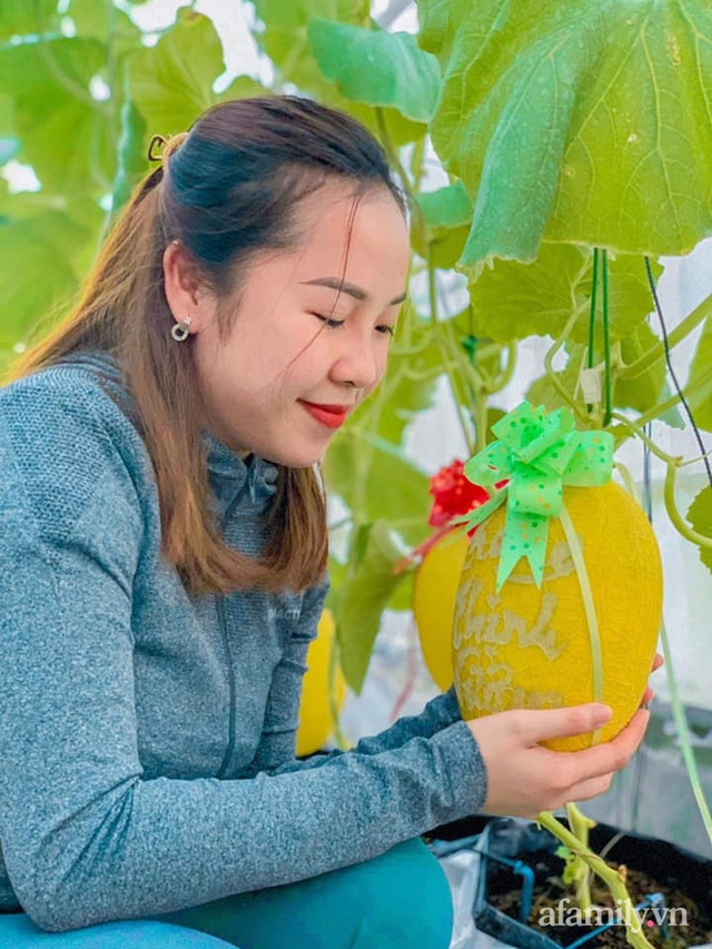 Người phụ nữ Kiên Giang đầu tư 10 triệu đồng thiết kế nhà màng 30m² trồng dưa lưới vì đam mê - Ảnh 3.