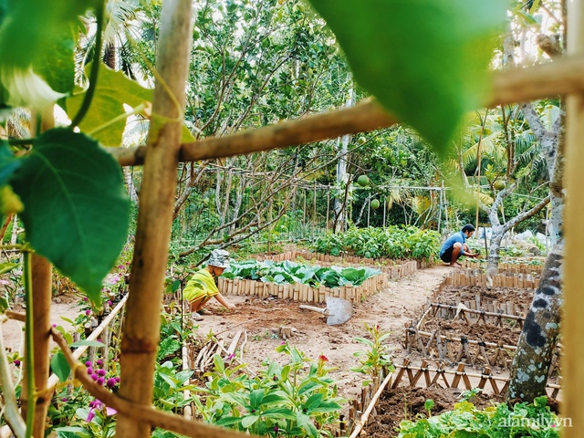 Khu vườn rau sạch đẹp đến mê mẩn và cuộc sống vui thú điền viên của cặp vợ chồng trẻ ở Bến Tre - Ảnh 11.