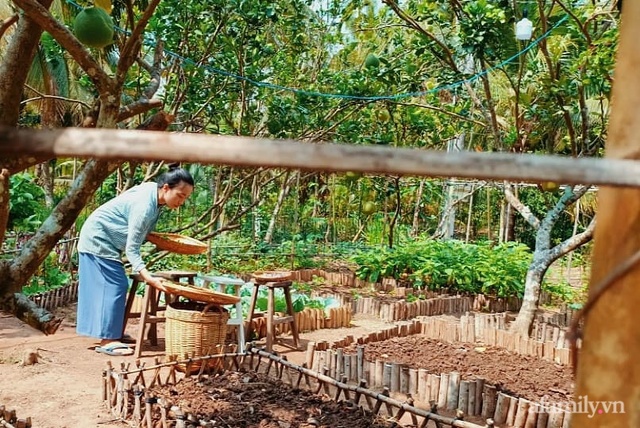 Khu vườn rau sạch đẹp đến mê mẩn và cuộc sống vui thú điền viên của cặp vợ chồng trẻ ở Bến Tre - Ảnh 14.