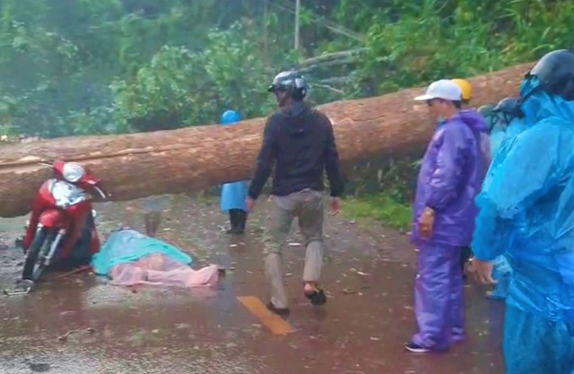 Mưa lớn kèm dông lốc quật cây rừng ngã đổ, đè 2 phụ nữ thương vong  - Ảnh 1.