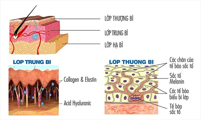 Ăn trộm công thức đẹp da của chân dài Vbiz, có loại mùi khó chịu nhưng hiệu quả tuyệt vời - Ảnh 2.