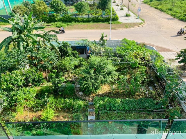 Nông trại rộng 300m² đẹp như cổ tích với đủ loại hoa và rau quả của mẹ 4 con ở Móng Cái, Quảng Ninh - Ảnh 1.