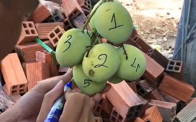 Dở kh&oacute;c dở cười với chi&ecirc;u độc lạ chống lại nạn xo&agrave;i tặc - Ảnh 2.