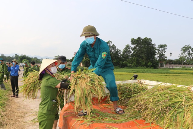 Công an xuống xã lội ruộng gặt lúa giúp các F1, F2 đang phải cách ly - Ảnh 7.