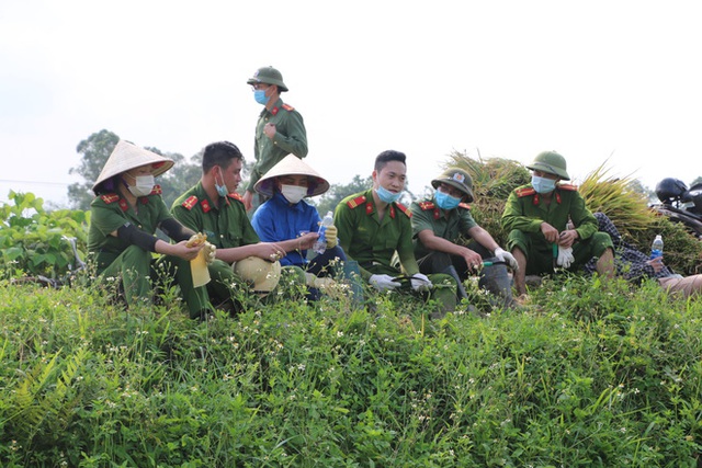 Công an xuống xã lội ruộng gặt lúa giúp các F1, F2 đang phải cách ly - Ảnh 9.