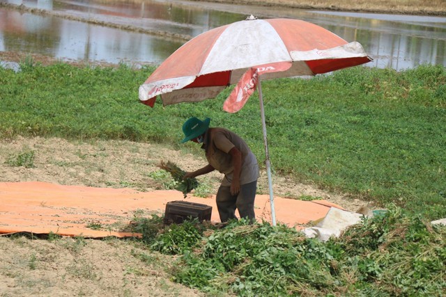 Thừa Thiên Huế: Nhịp sống bình thường mới trở lại xã Phong Điền - Ảnh 14.