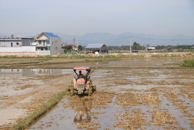 Thừa Thiên Huế: Nhịp sống bình thường mới trở lại xã Phong Điền - Ảnh 11.