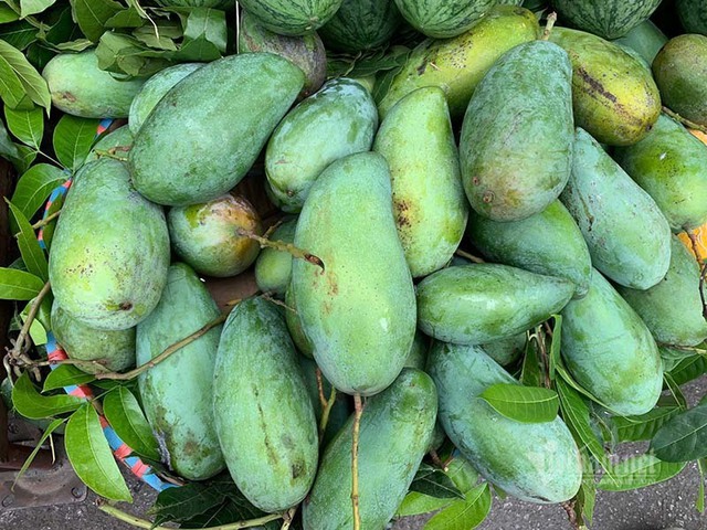 Tin buồn đầu m&ugrave;a: Xo&agrave;i Việt dội chợ, gi&aacute; rẻ như rau - Ảnh 2.