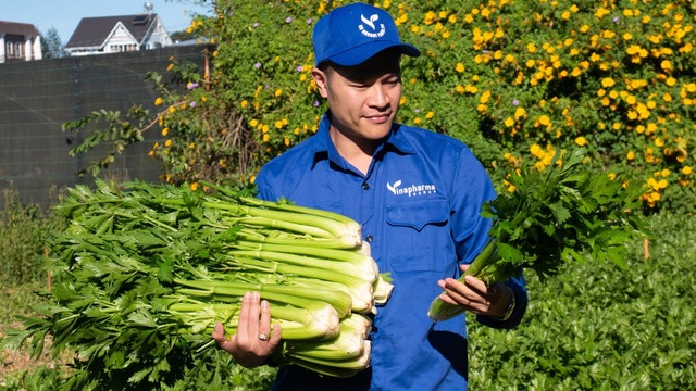 Doanh nhân Phạm Quang Trường, Chủ tịch Vinapharma - Group: “Đồng hành cùng Chính phủ đẩy lùi Covid-19 là trách nhiệm sống còn của doanh nghiệp” - Ảnh 2.