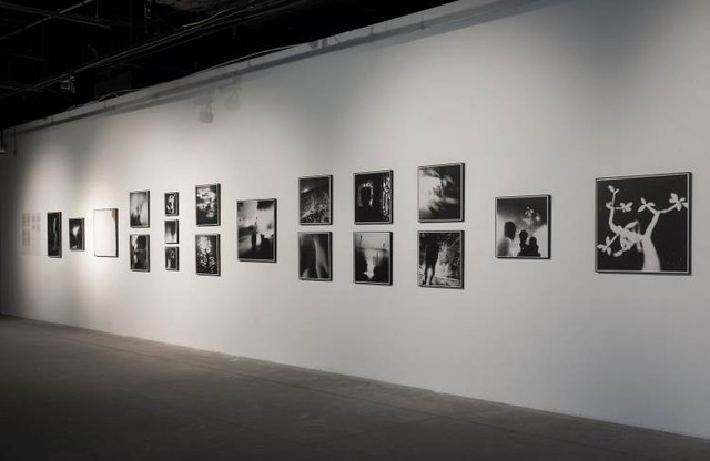 Những “kết nối cảm xúc” trong triển lãm nhiếp ảnh tại VCCA - Ảnh 1.