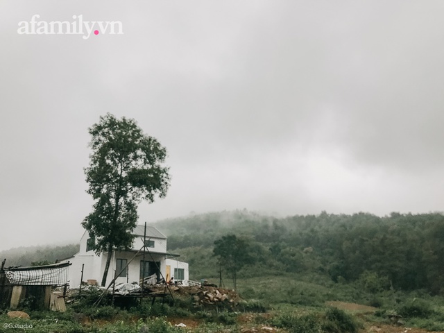 Cặp vợ chồng trẻ bỏ phố về quê xây ngôi nhà nhỏ trên mảnh đồi 2ha phủ quanh toàn hoa cỏ đồng nội như vườn Châu Âu - Ảnh 16.