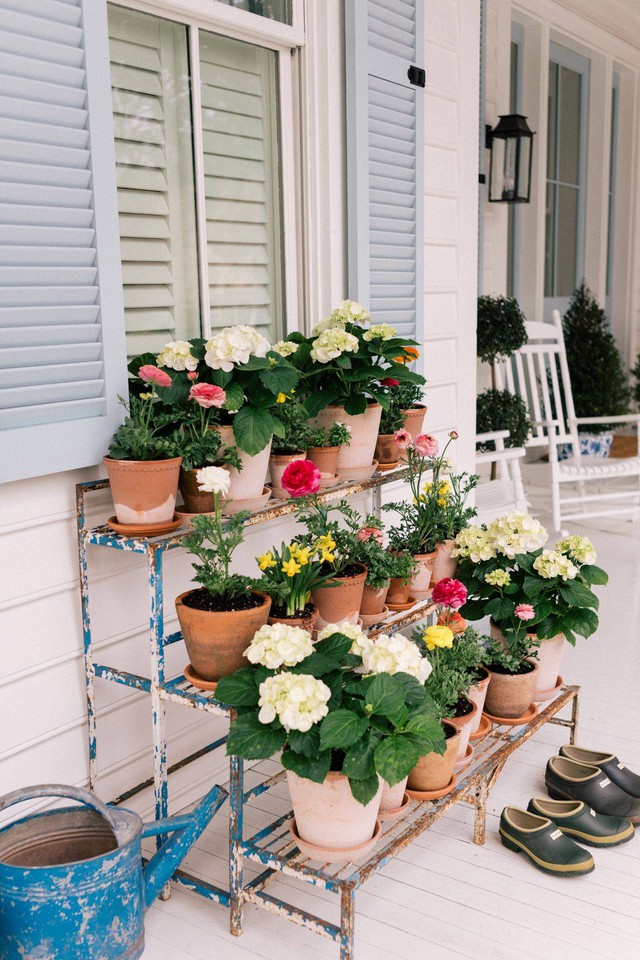 10 cách sử dụng chậu hoa để tô điểm cho thềm nhà mùa hè thêm rực rỡ - Ảnh 10.