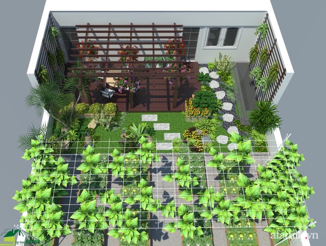 Vườn rau quả sạch 100m² trên mái nhà của mẹ 3 con ở Hà Nội - Ảnh 1.