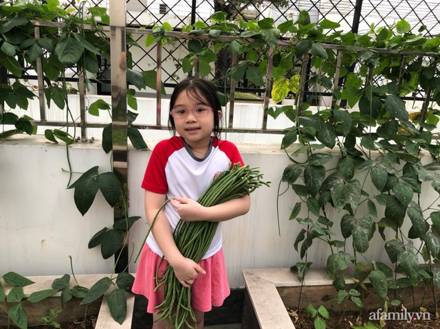 Vườn rau quả sạch 100m² trên mái nhà của mẹ 3 con ở Hà Nội - Ảnh 15.