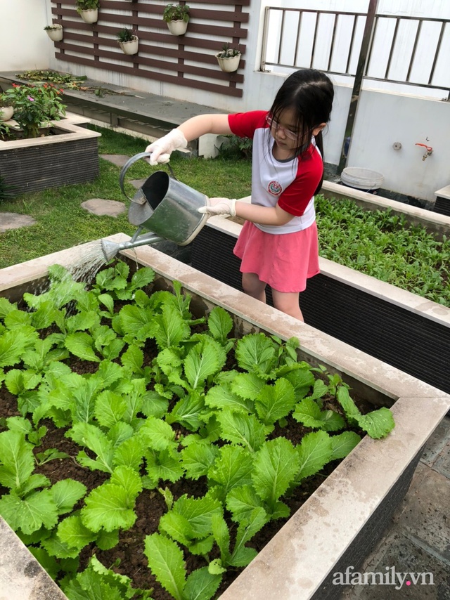 Vườn rau quả sạch 100m² trên mái nhà của mẹ 3 con ở Hà Nội - Ảnh 24.