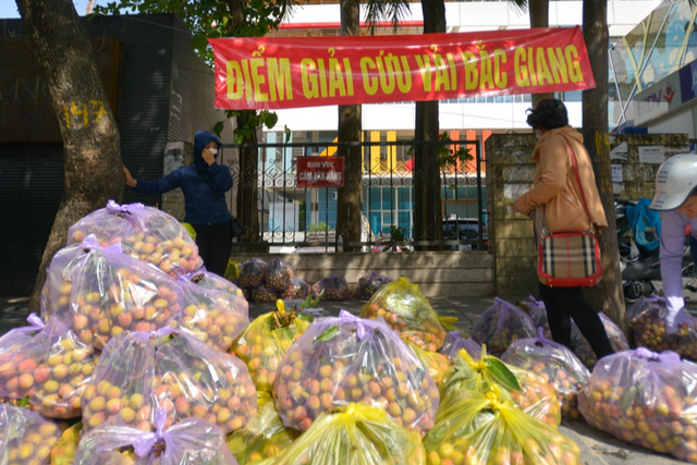 Chùm ảnh: Vượt tâm dịch về Hà Nội, vải thiều Bắc Giang được người Hà Nội vui vẻ rủ nhau xếp hàng giải cứu - Ảnh 5.