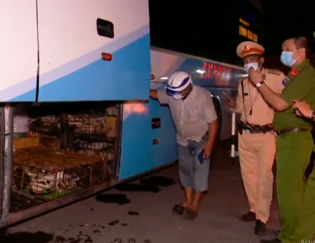 Vụ t&agrave;i xế xe kh&aacute;ch nhốt CSGT: &Ocirc;t&ocirc; chở hơn 100 con ch&oacute;, m&egrave;o đ&atilde; chết - Ảnh 1.