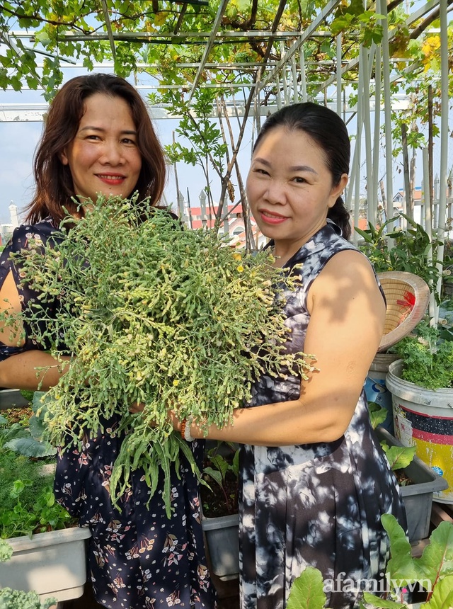 Mẹ đảm ở Sài Gòn trồng bạt ngàn su hào, bắp cải trên sân thượng, không khác gì một trang trại thu nhỏ - Ảnh 3.