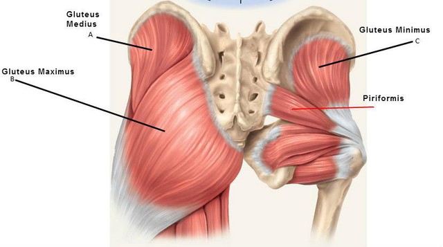 Chỉ 6 động tác đơn giản, sau 2 tuần Sĩ Thanh lấp đầy hõm hông quả táo - Ảnh 6.