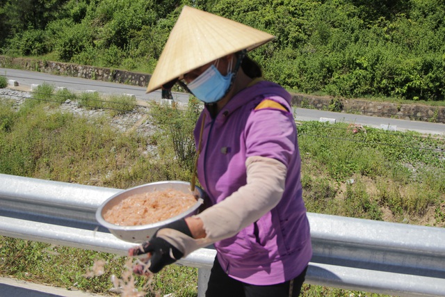 Ra biển vớt lộc trời giữa mùa dịch, ngư dân Hà Tĩnh thu tiền triệu mỗi ngày - Ảnh 13.