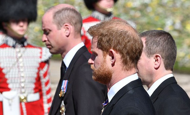 Hoàng tử Harry muốn có phóng viên riêng ở lễ khánh thành tượng Diana - Ảnh 3.