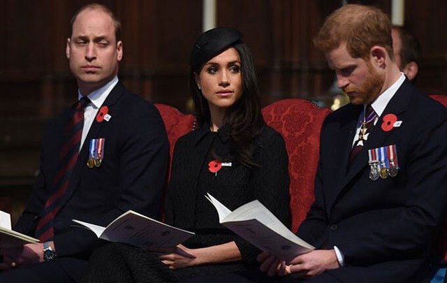 Hoàng tử Harry muốn có phóng viên riêng ở lễ khánh thành tượng Diana - Ảnh 4.