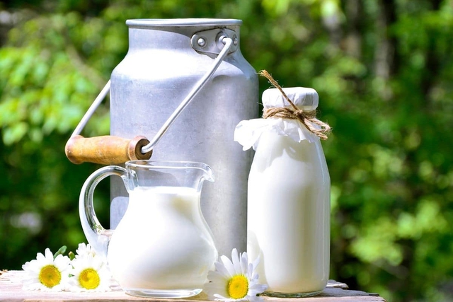 10 cách dùng sữa hết hạn để chăm sóc cây cực tốt mà đến 70% người không biết - Ảnh 12.