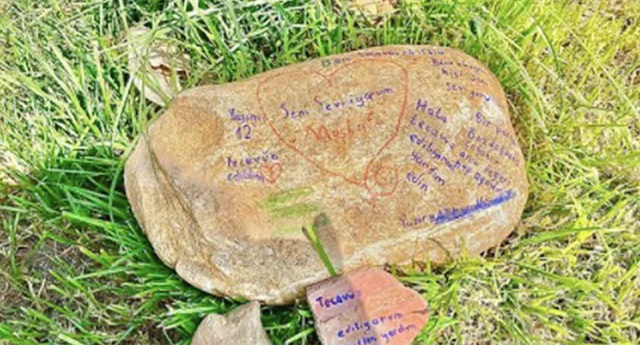 Hòn đá khắc chữ ở công viên giúp cảnh sát vạch trần tội ác của gã hàng xóm cưỡng hiếp bé gái 12 tuổi suốt 7 năm trời - Ảnh 2.