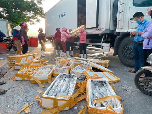 Ngư dân Quảng Bình lao đao vì cá đặc sản xuất khẩu ùn ứ, phải bán giá bèo - Ảnh 5.