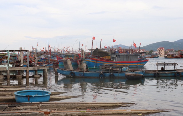 Ngư dân Quảng Bình lao đao vì cá đặc sản xuất khẩu ùn ứ, phải bán giá bèo - Ảnh 3.