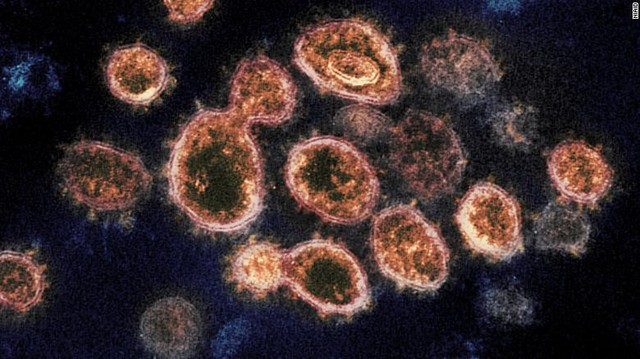 Cư dân Đông Á cách đây 20.000 năm từng nhiễm virus corona? - Ảnh 1.