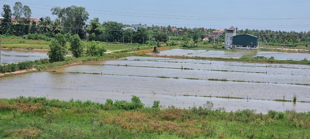 Quê hương Trạng Trình ngày đầu giãn cách xã hội - Ảnh 8.