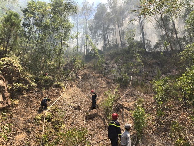 Thừa Thiên Huế: Lại thêm vụ cháy rừng thông ở thị xã Hương Thủy - Ảnh 2.