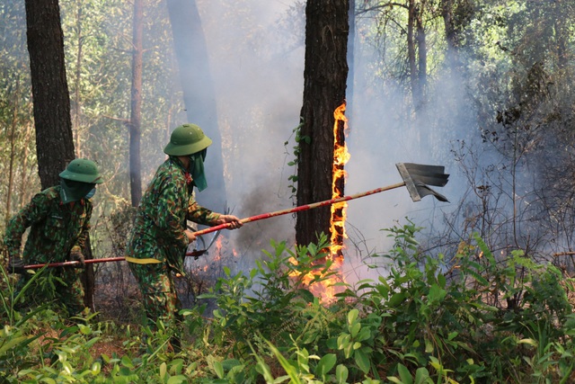 Thừa Thiên Huế: Lại thêm vụ cháy rừng thông ở thị xã Hương Thủy - Ảnh 5.