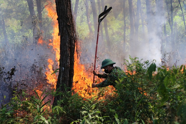 Thừa Thiên Huế: Lại thêm vụ cháy rừng thông ở thị xã Hương Thủy - Ảnh 4.