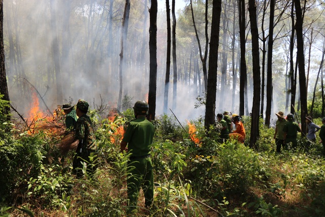 Thừa Thiên Huế: Lại thêm vụ cháy rừng thông ở thị xã Hương Thủy - Ảnh 3.
