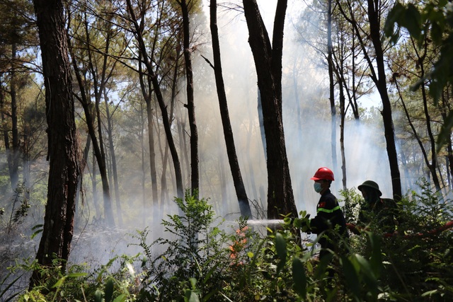 Thừa Thiên Huế: Lại thêm vụ cháy rừng thông ở thị xã Hương Thủy - Ảnh 10.