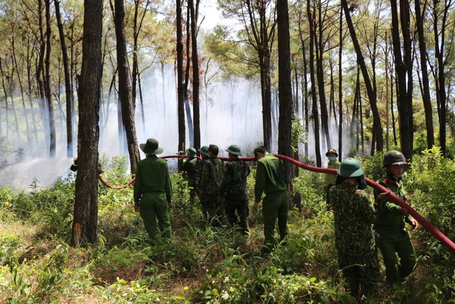 Thừa Thiên Huế: Lại thêm vụ cháy rừng thông ở thị xã Hương Thủy - Ảnh 7.