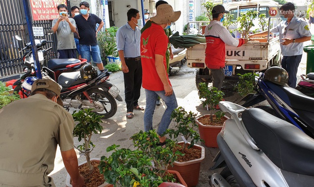 Người dân Sài Gòn trong khu cách ly thi trồng cây táo, chờ táo nở hoa - Ảnh 3.