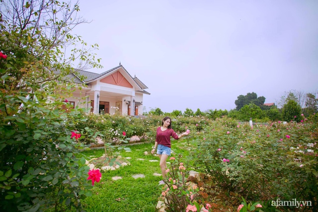 Cuộc sống an yên trong ngôi nhà có vườn hoa hồng quanh năm tỏa hương sắc của gia đình 3 thế hệ ở Ba Vì, Hà Nội - Ảnh 2.