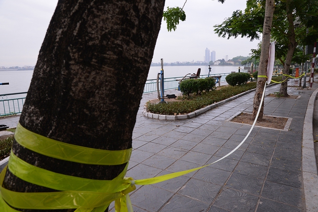 Hà Nội dựng barie hạn chế người dân tập thể dục quanh Hồ Tây - Ảnh 5.