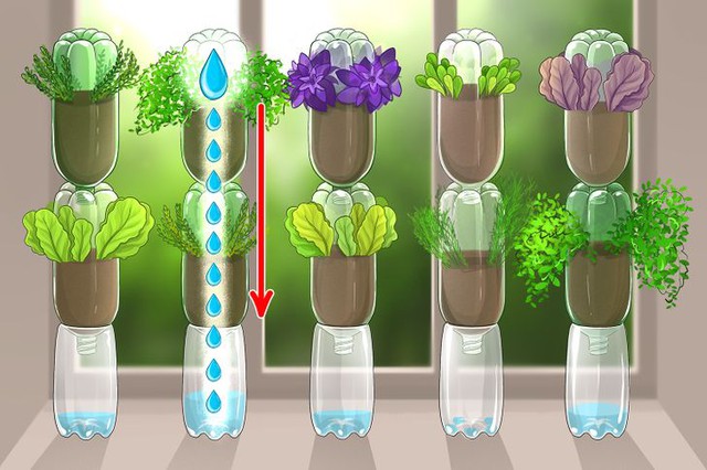 4 bí quyết cực hay giúp bạn nhanh chóng tạo khu vườn gia vị bên cửa sổ - Ảnh 2.