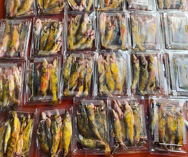 Của hiếm sông Đà: Loài cá vàng óng, muốn ăn phải đặt trước nửa năm - Ảnh 3.