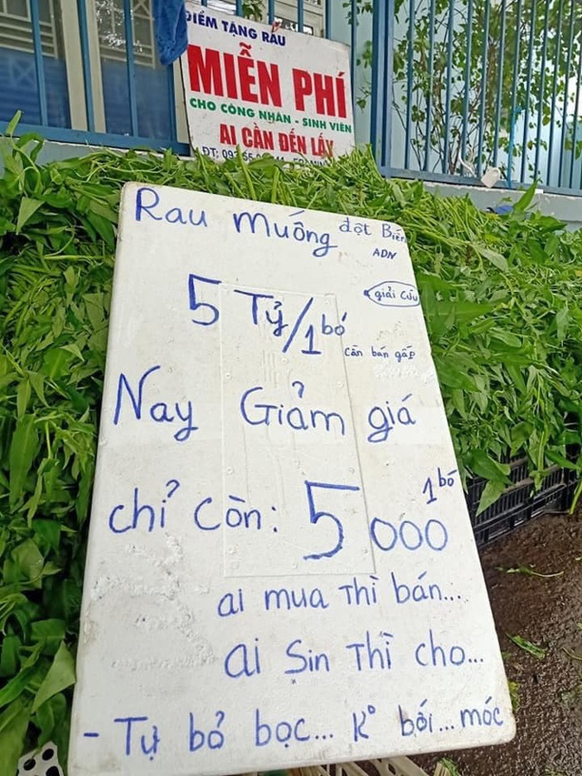 Bị mắng vì không tranh thủ hốt bạc giữa mùa dịch, người đàn ông bán rau giá rẻ đáp trả khiến ai cũng nể - Ảnh 4.