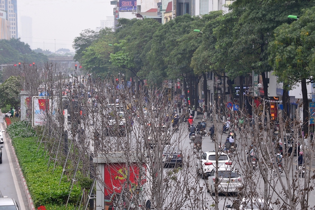 Khung cảnh tuyến đường Trần Duy Hưng - Nguyễn Chí Thanh giờ ra sao sau 1 tháng di dời hàng cây phong lá đỏ - Ảnh 12.