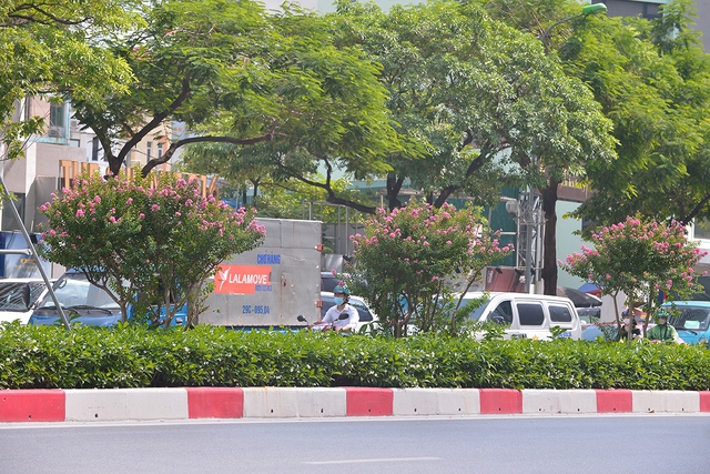 Khung cảnh tuyến đường Trần Duy Hưng - Nguyễn Chí Thanh giờ ra sao sau 1 tháng di dời hàng cây phong lá đỏ - Ảnh 2.