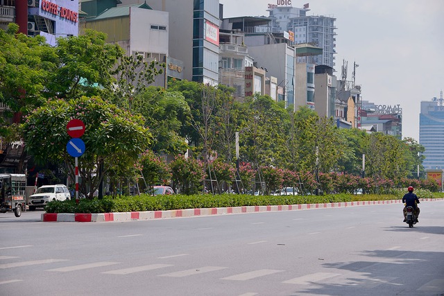 Khung cảnh tuyến đường Trần Duy Hưng - Nguyễn Chí Thanh giờ ra sao sau 1 tháng di dời hàng cây phong lá đỏ - Ảnh 1.