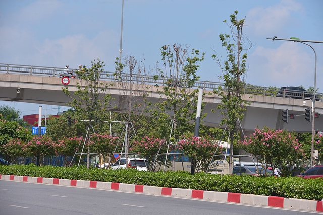 Khung cảnh tuyến đường Trần Duy Hưng - Nguyễn Chí Thanh giờ ra sao sau 1 tháng di dời hàng cây phong lá đỏ - Ảnh 4.