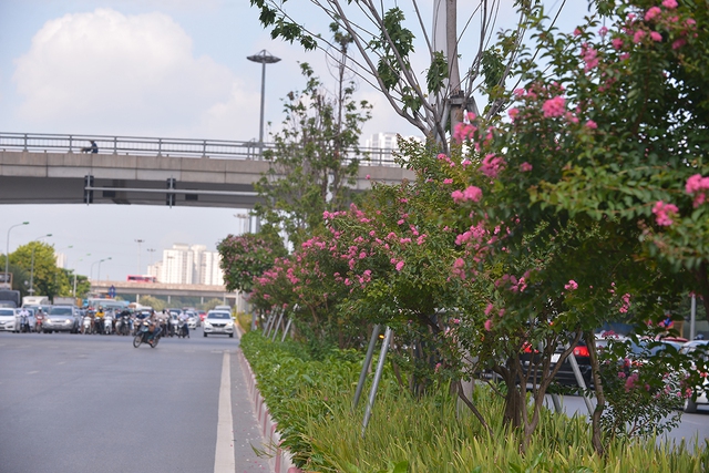 Khung cảnh tuyến đường Trần Duy Hưng - Nguyễn Chí Thanh giờ ra sao sau 1 tháng di dời hàng cây phong lá đỏ - Ảnh 3.