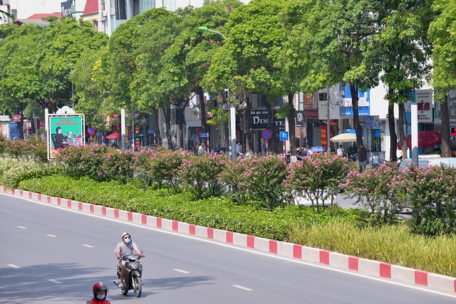 Khung cảnh tuyến đường Trần Duy Hưng - Nguyễn Chí Thanh giờ ra sao sau 1 tháng di dời hàng cây phong lá đỏ - Ảnh 5.